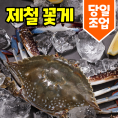 꽃게제철