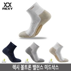렉시페이크삭스
