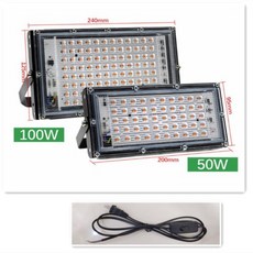 햇빛아래식물등