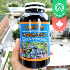 캐나다 유기농 하이부시 블루베리 36배 농축 파나시아 700mg 300캡슐 5개월분, 300정, 5개