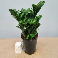 0ac65df7e9d3a130a2641cc40bbcd8e6d420eb5ae18ea94331cc5b0b0de1.jpg