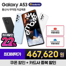 갤럭시a53s자급제