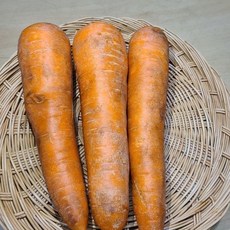 큰솔 친환경 유기농 흙당근 1kg, 1개