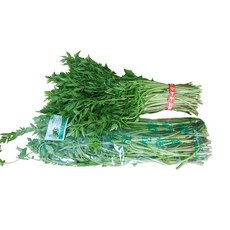 신선마을 적석산미나리농원 적석산 친환경 미나리 1kg, 99999개
