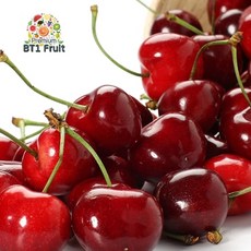 기타 [항공직수입]칠레 싱싱체리 1.5kg(9.5row), 1개