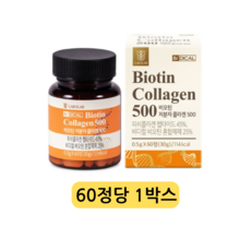 비디컬 비오틴 저분자 피쉬 콜라겐 500 펩타이드 엘라스틴 캡슐 영양제, 1정, 60개
