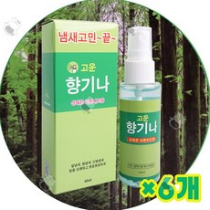 고운 향기나 (상쾌한 피톤치드향) 발/땀/신발/냄새 제거 탈취 스프레이, 6개, 40ml