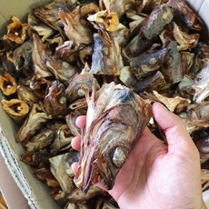 오늘의바다 대관령건조 황태머리 북어머리, 300g(업소용)