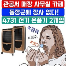 [O]아이들이 있는 공간에서 사용하는 온풍기 X 2개입, HV21 FU-4731_13평형 골드, 상세페이지 참조