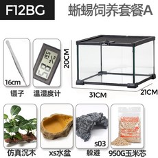 크레스티드게코렉사