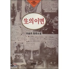 생의 이면:제1회 대산문학상 수상작, 문이당, 이승우 저