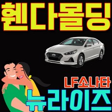 그랜져hg신형개조