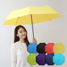 아부틸론