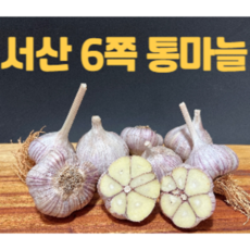 서산육쪽마늘