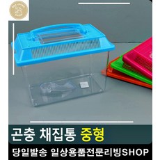 초등여름방학체험
