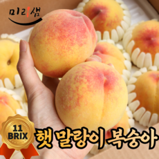 몽부사