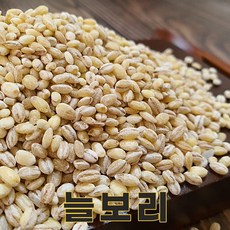 천년지기보리쌀