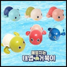 헤엄치는거북이
