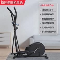 일립티컬 유산소 스카이워커 홈트 실내 입식 바이크