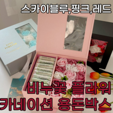 스카이박스프로포즈