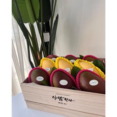 [과일바구니] 인천 클래식2호 애플망고6과 노란망고3과 고당도프리미엄 추석 설날 과일선물세트 수출용 설날명절
