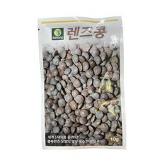 렌즈콩 씨앗 10g [24년포장] 렌틸콩종자, 1개