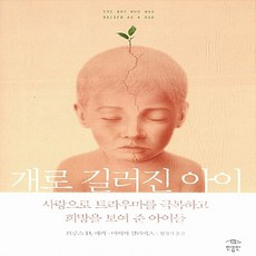 브루스d.페리