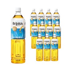 하늘보리12개 TOP01