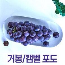 캠벨포도10kg