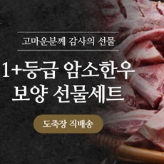 암소한우1+등급 꼬리곤자7.5kg이상 보양세트, 1세트