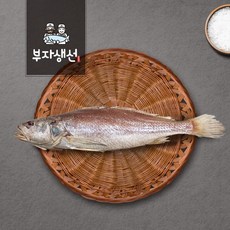 반건조생선 제수용 민어조기 소 중 대 특대 망미중앙시장 김명욱, 민어조기34~36cm 1마리(소), 1개