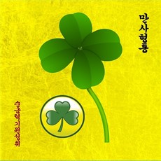 순금네잎크로버