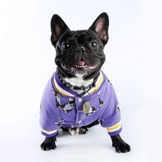 프랑스 불독 옷 겨울 코트 자켓 퍼그 의류 복장 푸들 슈나우저 포메라니안 웨일스 어 Corgi 의상 의류, 보라색, XS