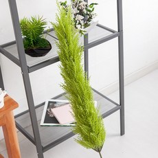 fd296bf4a26d8bf1a35b9be96e875d187e0b3fc994dbba0e8bb2700d7043.jpg