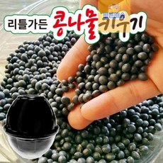 리틀가든콩나물