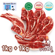 (배터짐) 캠핑가자! 호주 청정지역 냉동 양사각갈비 1kg+1kg+2가지 소스 (특가상품), 1개, 냉동 양사각갈비2kg