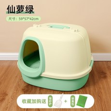 페스룸사막화매트