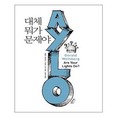 인사이트 대체 뭐가 문제야? (마스크제공), 단품