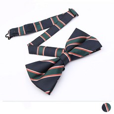 남자어린이보타이