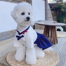 만들기 패턴 - P1690 - Dog hanbok(강아지 한복 여아), 1개