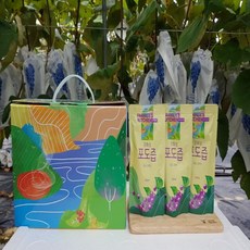포도즙 포도주스 강화양도 NFC 착즙 선물용 답례품 임산부 100ml 15봉 30봉 50봉 포도쥬스, 1개