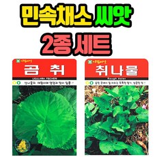 민속채소 씨앗 2봉 (취나물+곰취) 종자 씨, 1세트 1세트