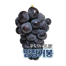 천안발레공연