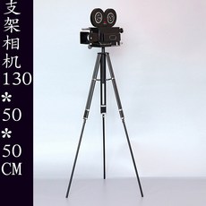 골동품카메라