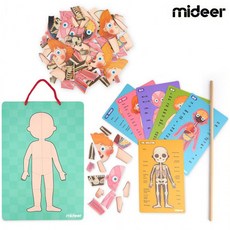 더블유케이몰 미디어 자석퍼즐로 알아가는 우리인체 (MD2031), 상세페이지 참조