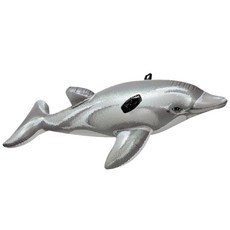 뉴돌고래라이드온