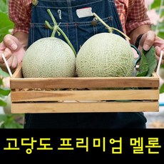 곡성머스크메론