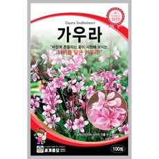 가우라 100립 꽃 씨앗 세계, 3개