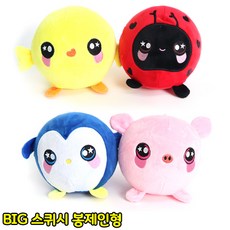 펫스퀴시