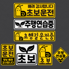 초보운전 반사 자석 스티커 _안전운전 대발이, 대형가로직사각, E, 옐로우, 1개
